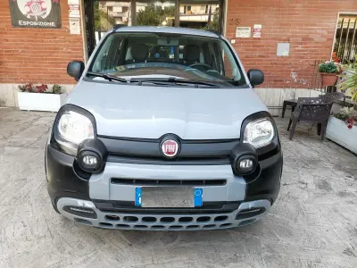 Usata Fiat Panda Cross Cross 69 CV (50 kW) 2021 Grigio Utilitaria