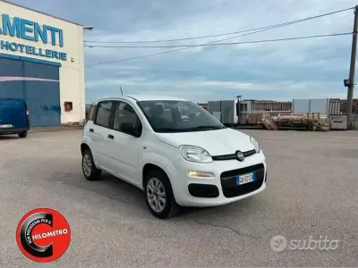 Usata Fiat Panda Easy 70 CV (51 kW) 2020 Bianco Utilitaria