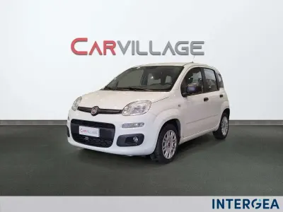Usata Fiat Panda Easy 69 CV (50 kW) 2019 Bianco Utilitaria