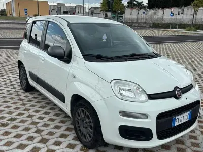 Usata Fiat Panda 69 CV (50 kW) 2019 Bianco Utilitaria