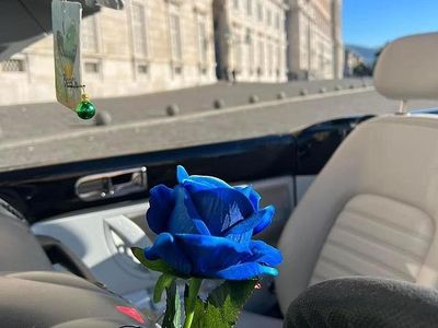 Usata VW New Beetle 2005 Nero Utilitaria