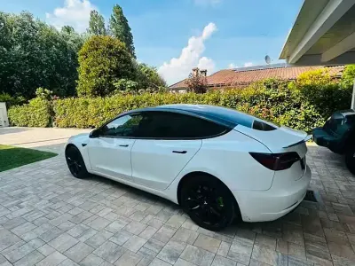 Usata Tesla Model 3 RWD 88 kW (120 CV) 2021 Bianco Berlina