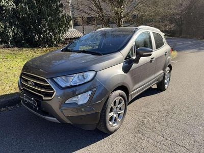 Usata Ford Ecosport Titanium S 125 CV (91 kW) 2018 Other SUV