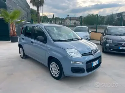 Usata Fiat Panda Easy 69 CV (50 kW) 2020 Grigio Utilitaria