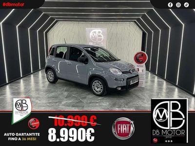 Usata Fiat Panda S 70 CV (51 kW) 2022 Grigio Utilitaria