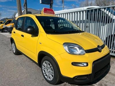 Nuova Fiat Panda 70 CV (51 kW) 2025 Giallo Utilitaria