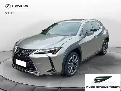 Usata Lexus UX 183 CV (134 kW) 2019 Grigio SUV