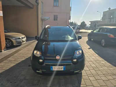 Usata Fiat Panda S 70 CV (51 kW) 2024 Verde Utilitaria