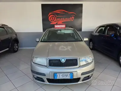 Usata Skoda Fabia