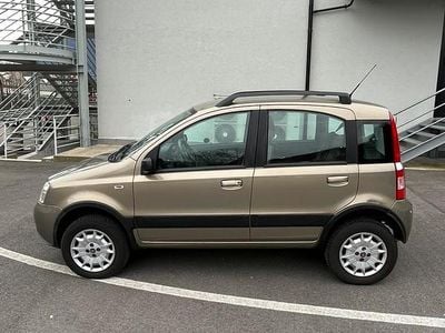 Usata Fiat Panda 4x4 Climbing 60 CV (44 kW) 2008 Oro Utilitaria