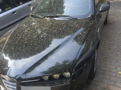 Usata Alfa Romeo 159