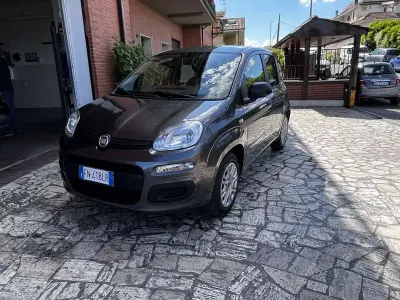 Usata Fiat Panda Easy 69 CV (50 kW) 2018 Utilitaria