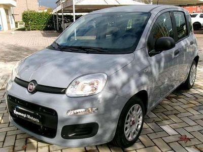 Usata Fiat Panda Easy 69 CV (50 kW) 2021 Grigio Utilitaria
