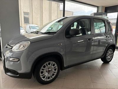 Usata Fiat Panda City Life 70 CV (51 kW) 2023 Grigio Utilitaria