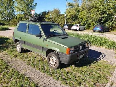 usata Fiat Panda 4x4 1.0 Trekking cat.