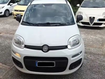 Usata Fiat Panda 80 CV (58 kW) 2014 Bianco Utilitaria