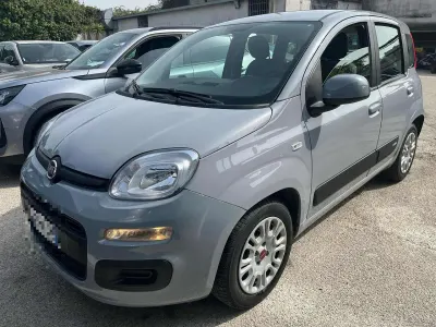 Usata Fiat Panda
