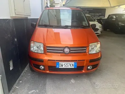 Usata Fiat Panda Dynamic 60 CV (44 kW) 2009 Arancione Utilitaria