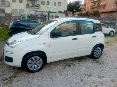 Usata Fiat Panda Lounge 69 CV (50 kW) 2013 Bianco Utilitaria