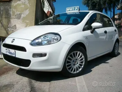 Usata Fiat Punto 77 CV (56 kW) 2013 Bianco Utilitaria