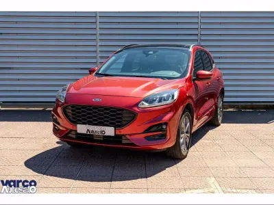 Usata Ford Kuga ST-Line 225 CV (165 kW) 2023 Rosso SUV