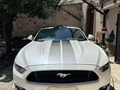 Usata Ford Mustang Performance Edition 421 CV (309 kW) 2017 Bianco Cabrio