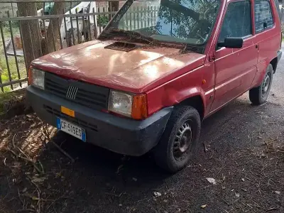 Usata Fiat Panda