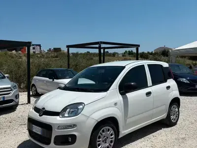 Usata Fiat Panda Easy 80 CV (58 kW) 2018 Bianco Utilitaria