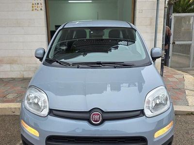 Usata Fiat Panda S 69 CV (50 kW) 2021 Grigio Utilitaria