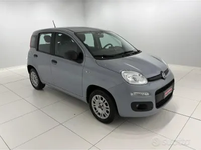 Usata Fiat Panda Easy 69 CV (50 kW) 2021 Grigio Utilitaria