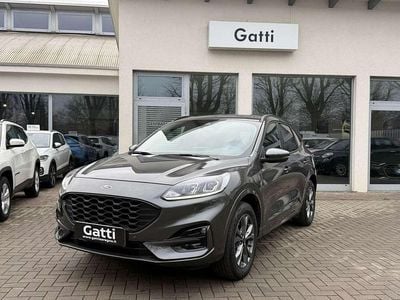 Usata Ford Kuga ST-Line 224 CV (164 kW) 2024 Grigio SUV