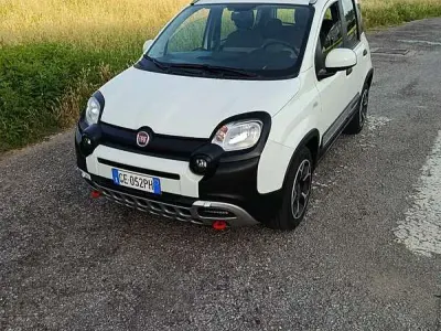 Usata Fiat Panda Cross Cross 69 CV (50 kW) 2021 Utilitaria