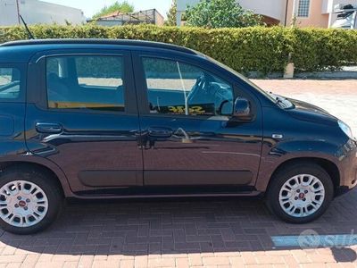 usata Fiat Panda 3ª serie - 2021