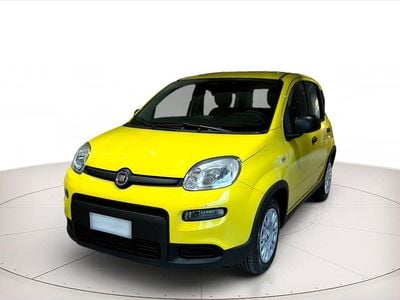 Usata Fiat Panda S 70 CV (51 kW) 2024 Giallo sole (pastello) Utilitaria
