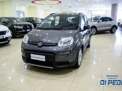 Usata Fiat Panda S 69 CV (50 kW) 2022 Grigio Utilitaria