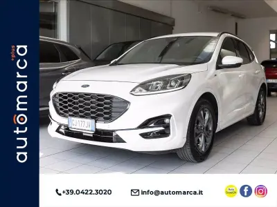 Usata Ford Kuga ST-Line 190 CV (139 kW) 2022 Bianco SUV