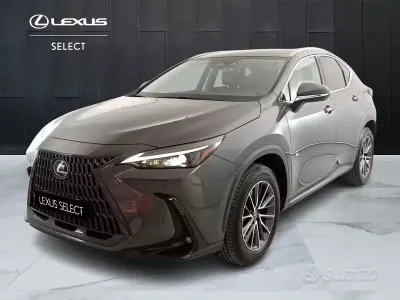 Usata Lexus NX450h+