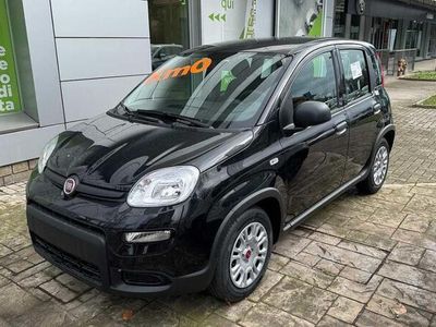 usata Fiat Panda 1.0 Hybrid