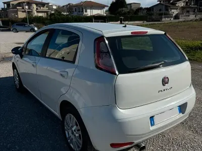 Usata Fiat Grande Punto 75 CV (55 kW) 2013 Bianco Utilitaria