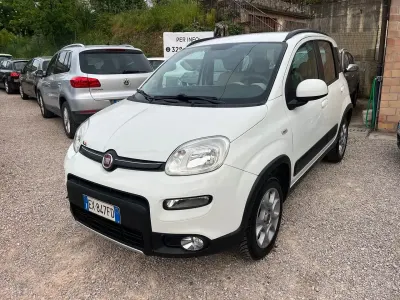 Usata Fiat Panda 4x4 S 74 CV (54 kW) 2014 Bianco Utilitaria