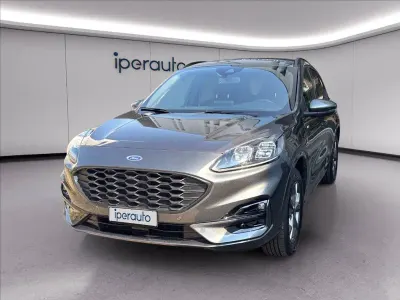 Usata Ford Kuga ST-Line X 225 CV (165 kW) 2023 SUV