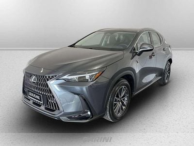 Nuova Lexus NX350h Business Edition 197 CV (144 kW) 2026 Sonic grey SUV