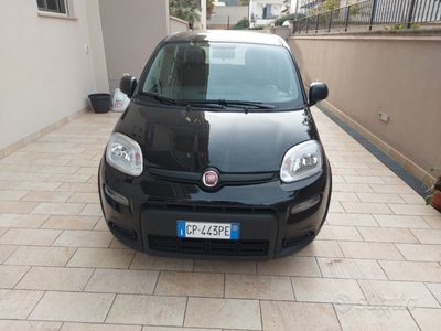 usata Fiat Panda 1.0 firefly hybrid s&s 70cv