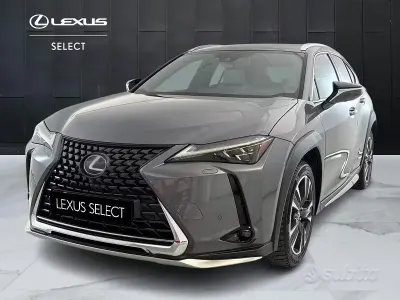 Usata Lexus UX 250h Luxury Line 2019 Grigio SUV