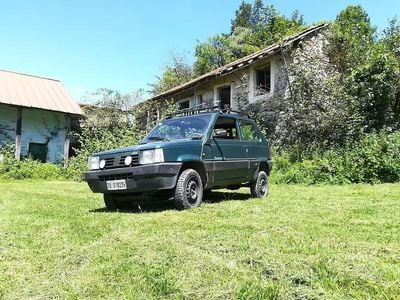 Usata Fiat Panda 4x4 1993 Utilitaria