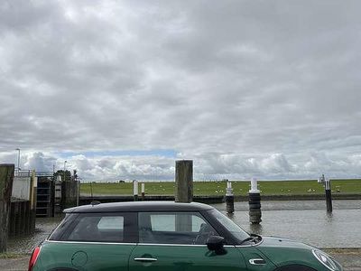 Verde Usata 2020 Mini Cooper Utilitaria | 17.500 € (Buon prezzo)