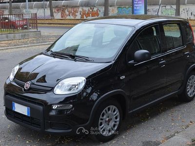 Usata Fiat Panda 69 CV (50 kW) 2023 Nero Utilitaria