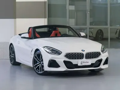 Usata BMW Z4