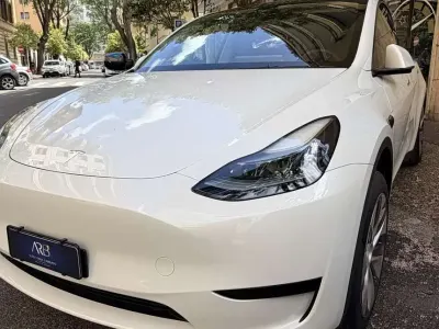 Brugt Tesla Model Y RWD 88 kW (120 HK) 2024 Perlato SUV