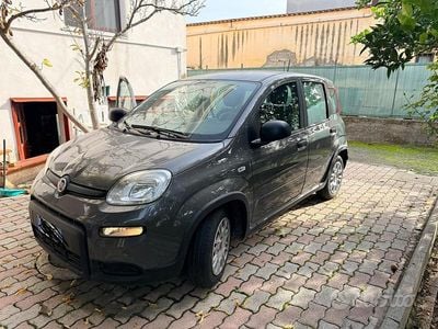 Usata Fiat Panda 70 CV (51 kW) 2023 Grigio Berlina